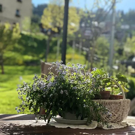Dolomites Charme Chalet Colle Santa Lucia Exterior foto