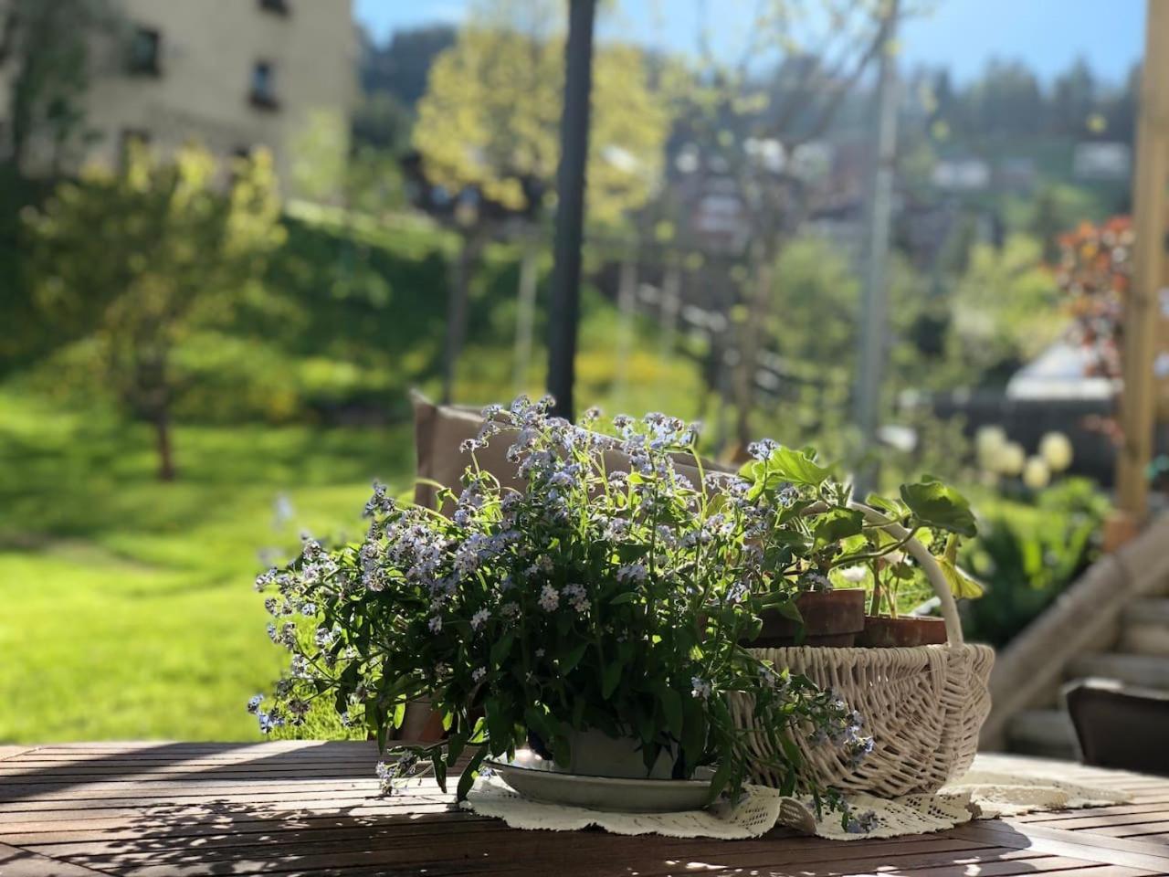 Apartment Dolomites Charme *